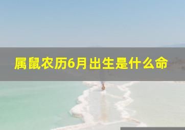 属鼠农历6月出生是什么命