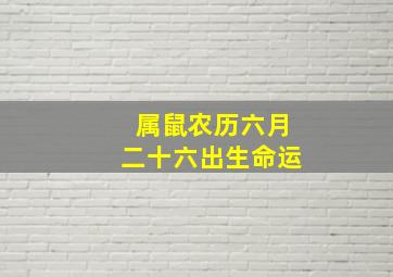 属鼠农历六月二十六出生命运