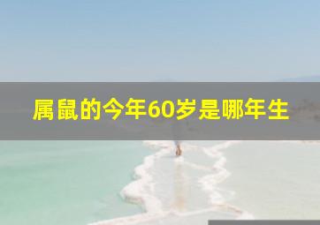 属鼠的今年60岁是哪年生