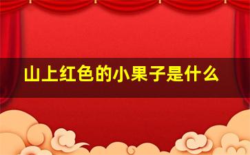 山上红色的小果子是什么