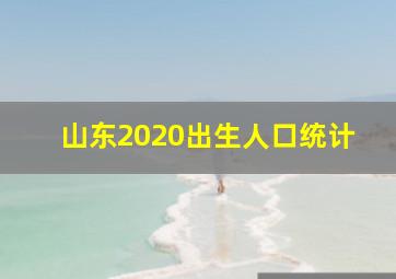 山东2020出生人口统计