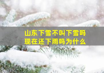 山东下雪不叫下雪吗现在还下雨吗为什么