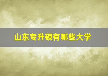 山东专升硕有哪些大学