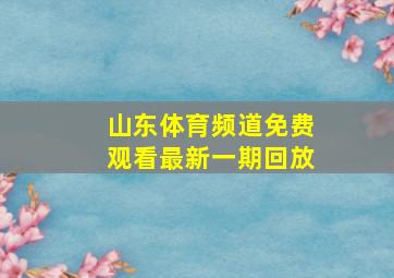 山东体育频道免费观看最新一期回放