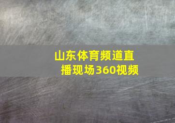 山东体育频道直播现场360视频