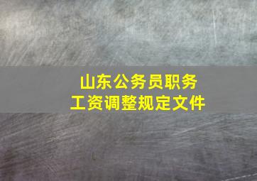 山东公务员职务工资调整规定文件