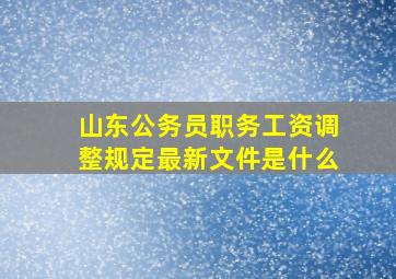 山东公务员职务工资调整规定最新文件是什么