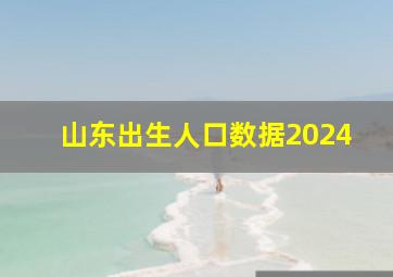 山东出生人口数据2024