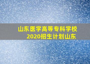 山东医学高等专科学校2020招生计划山东