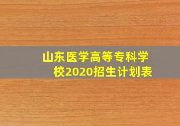 山东医学高等专科学校2020招生计划表