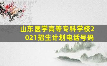 山东医学高等专科学校2021招生计划电话号码