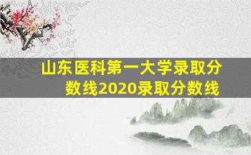 山东医科第一大学录取分数线2020录取分数线