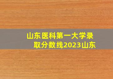 山东医科第一大学录取分数线2023山东