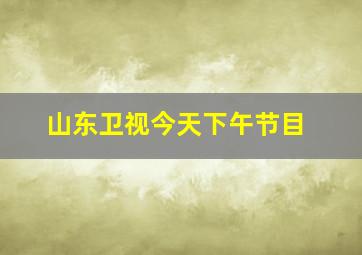 山东卫视今天下午节目