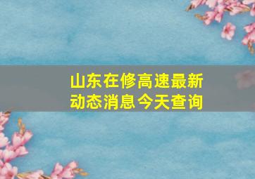 山东在修高速最新动态消息今天查询