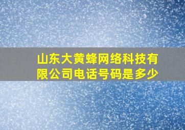 山东大黄蜂网络科技有限公司电话号码是多少