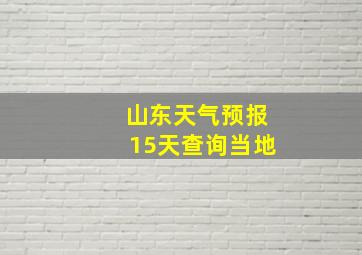 山东天气预报15天查询当地