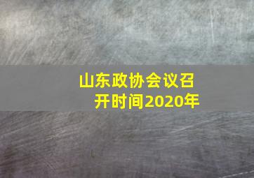 山东政协会议召开时间2020年