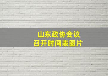 山东政协会议召开时间表图片