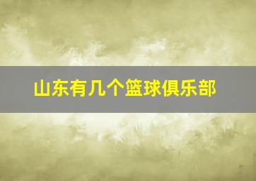 山东有几个篮球俱乐部