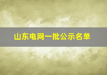 山东电网一批公示名单