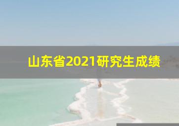 山东省2021研究生成绩