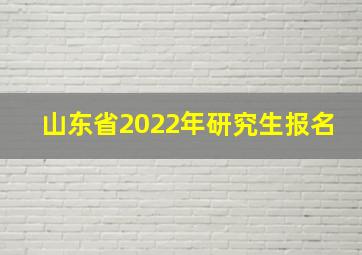 山东省2022年研究生报名