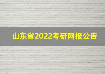 山东省2022考研网报公告