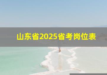 山东省2025省考岗位表