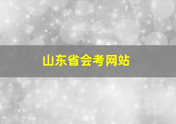 山东省会考网站