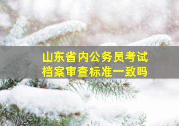 山东省内公务员考试档案审查标准一致吗