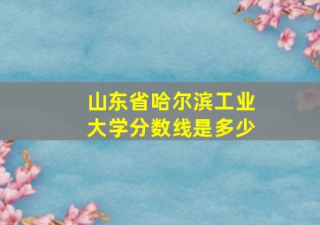 山东省哈尔滨工业大学分数线是多少