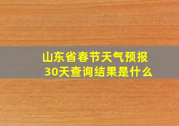 山东省春节天气预报30天查询结果是什么