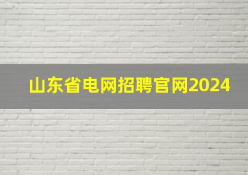 山东省电网招聘官网2024