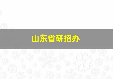 山东省研招办