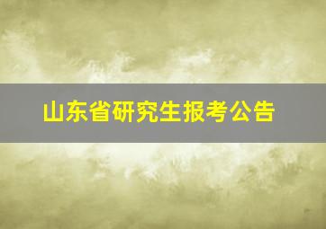 山东省研究生报考公告