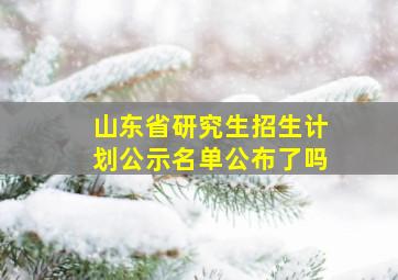 山东省研究生招生计划公示名单公布了吗