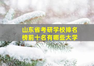 山东省考研学校排名榜前十名有哪些大学