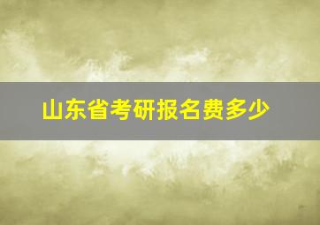 山东省考研报名费多少