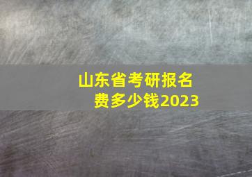 山东省考研报名费多少钱2023