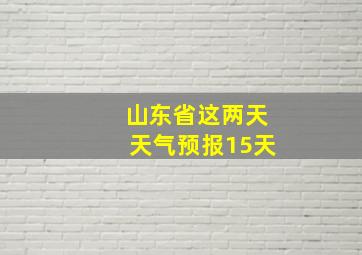 山东省这两天天气预报15天