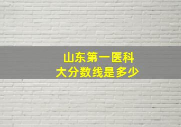 山东第一医科大分数线是多少