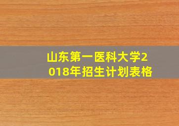 山东第一医科大学2018年招生计划表格