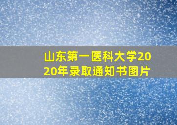 山东第一医科大学2020年录取通知书图片