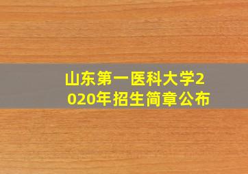 山东第一医科大学2020年招生简章公布