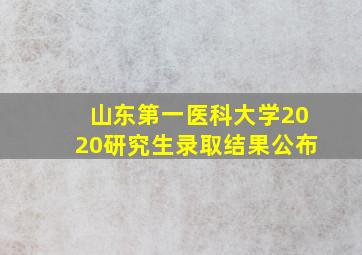 山东第一医科大学2020研究生录取结果公布