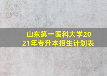 山东第一医科大学2021年专升本招生计划表