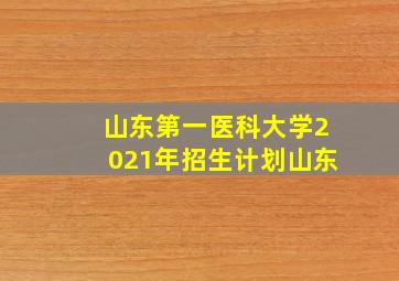 山东第一医科大学2021年招生计划山东