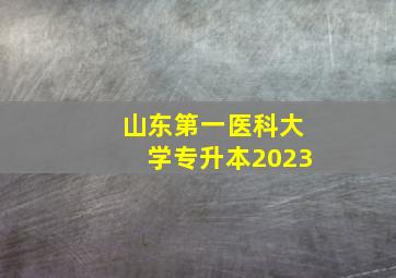 山东第一医科大学专升本2023