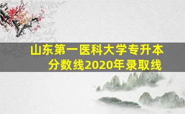 山东第一医科大学专升本分数线2020年录取线